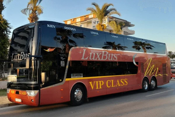 Bus 6